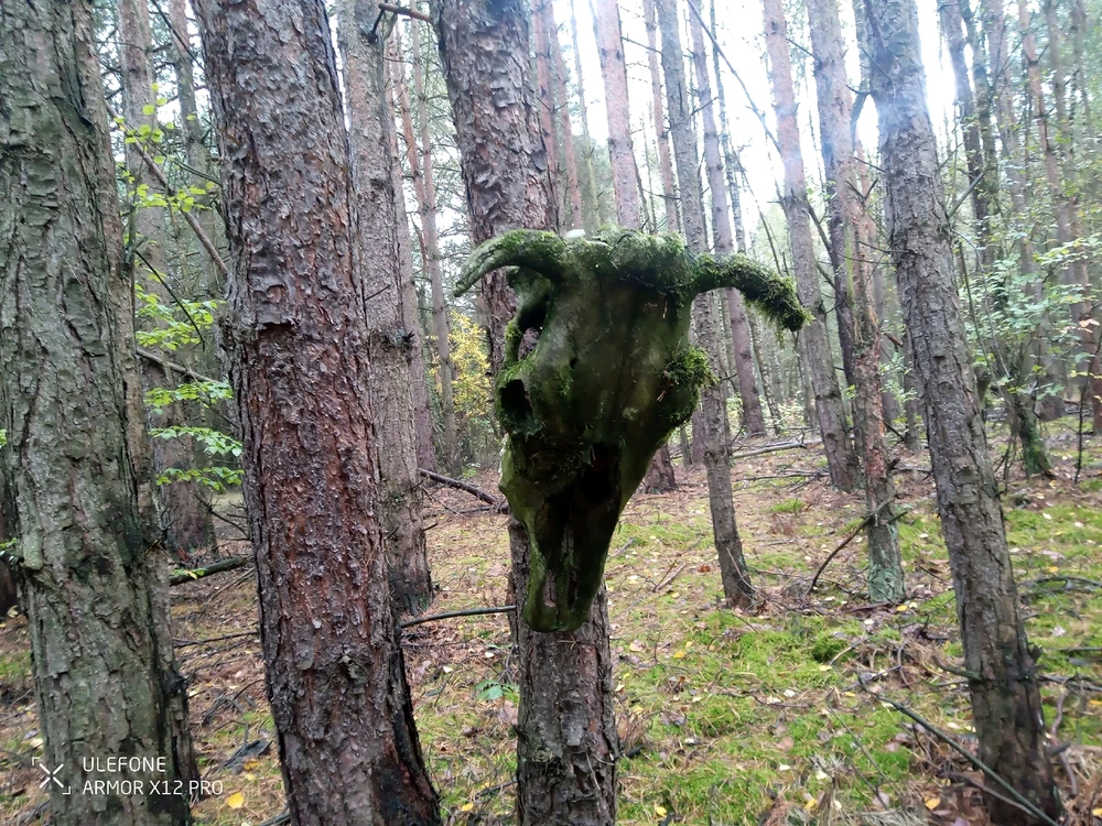 GIF dodany przez Emil