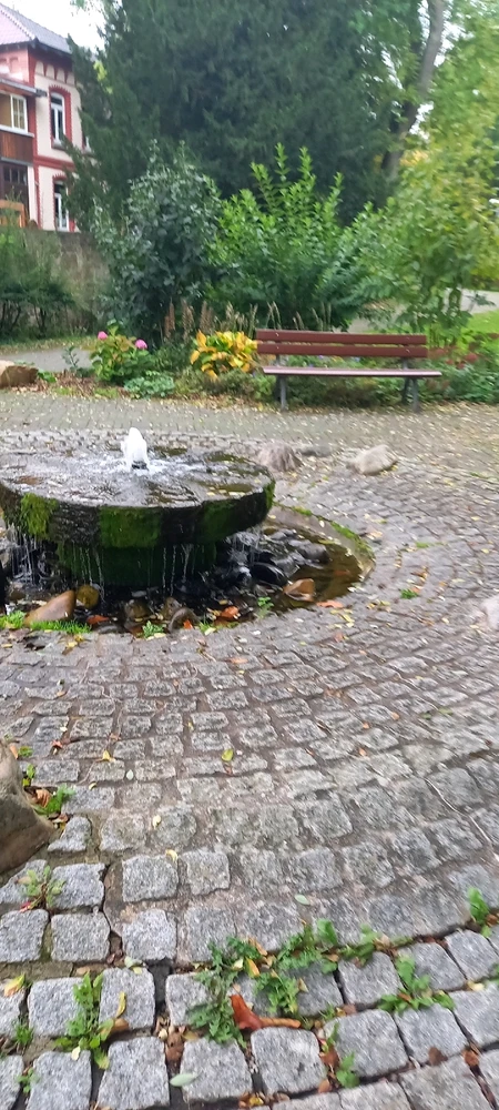 Bild hochgeladen von Basti aka Bierserker