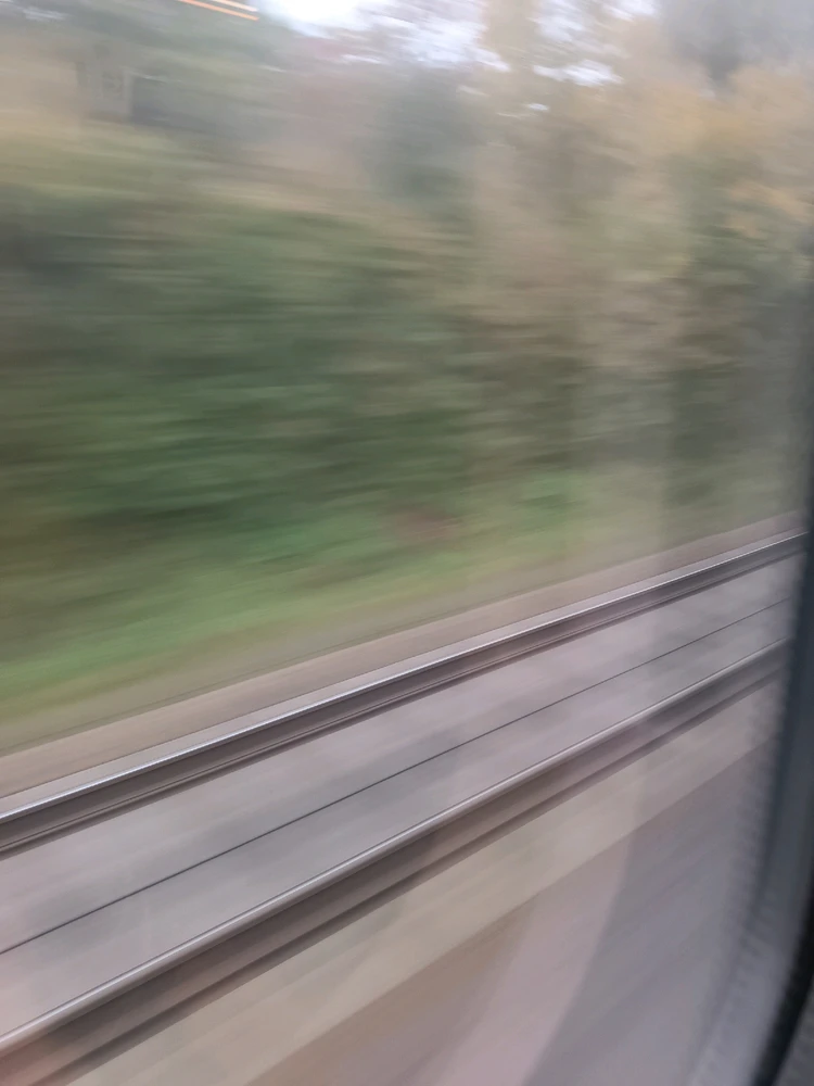 GIF uploaded by Vytautas Cera