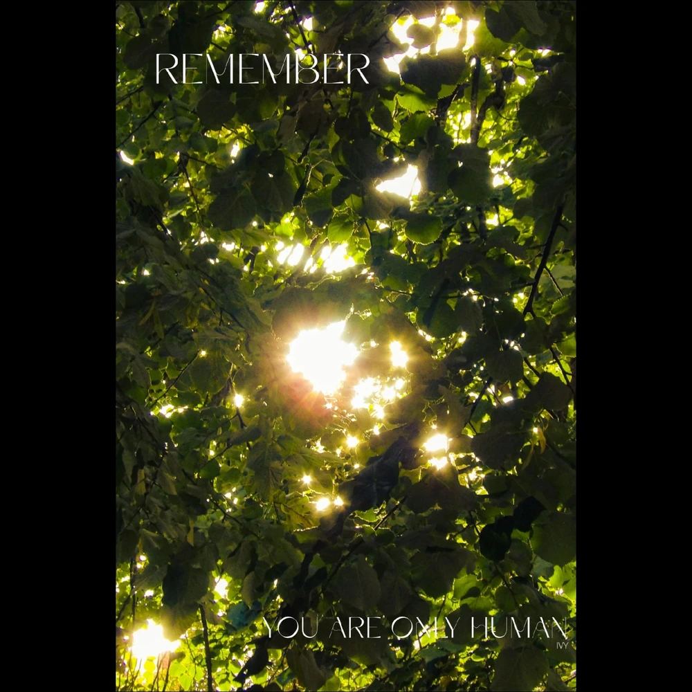 GIF hochgeladen von Ivy