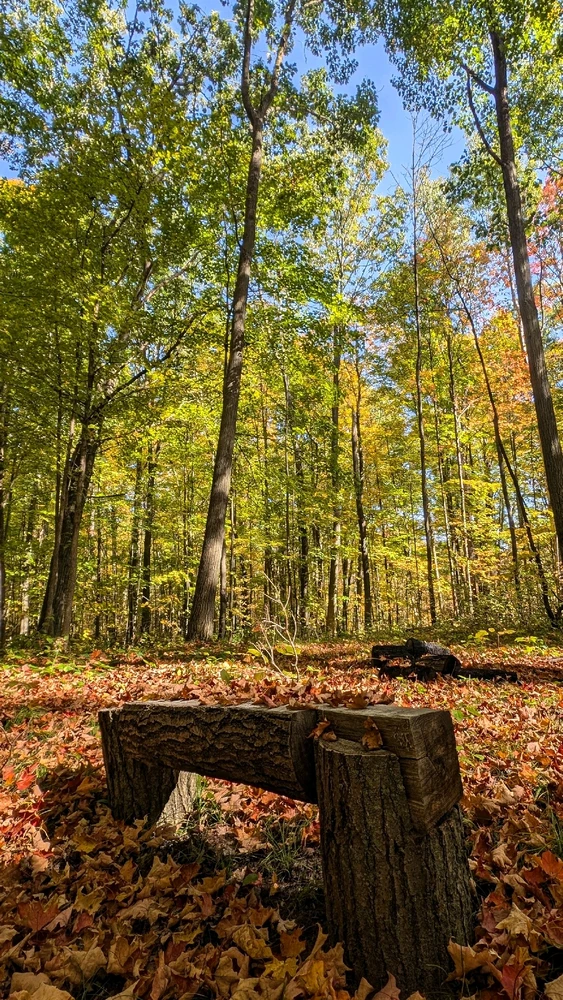 Image uploaded by Dana