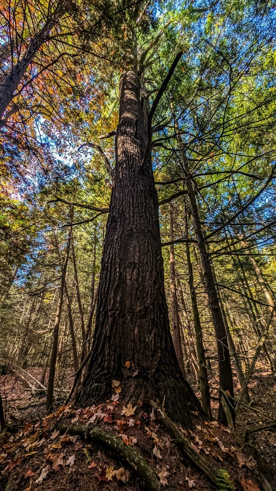 Image uploaded by Dana