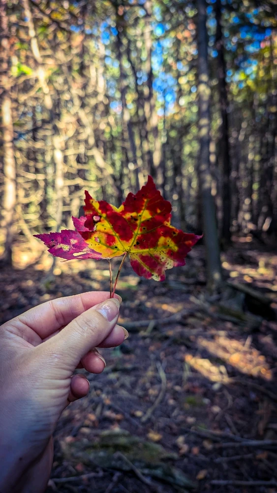 Image uploaded by Dana