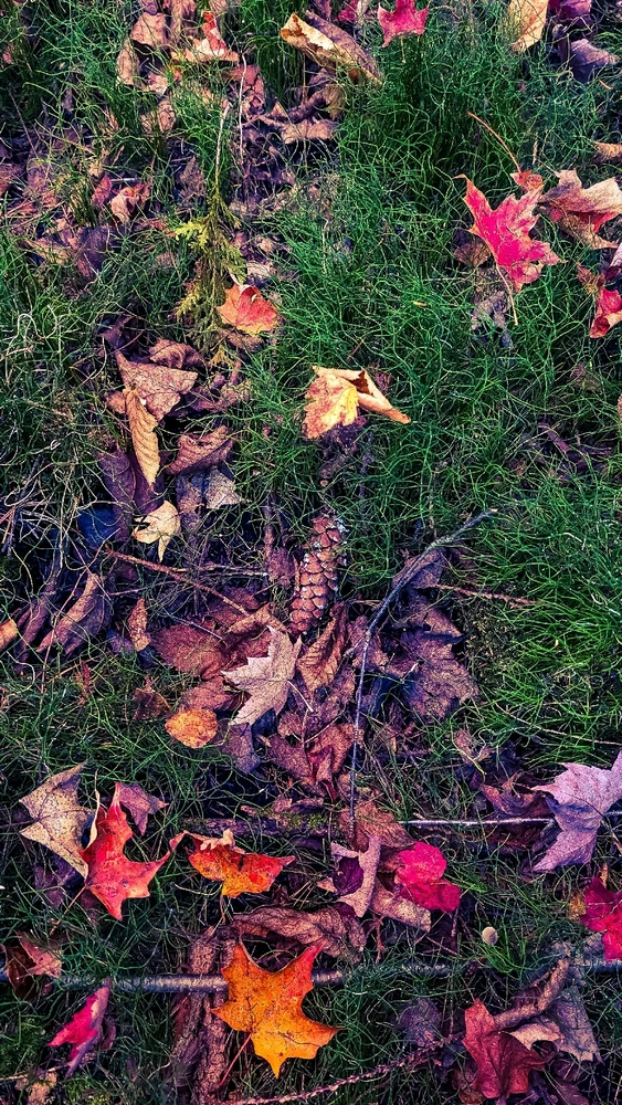 Image uploaded by Dana