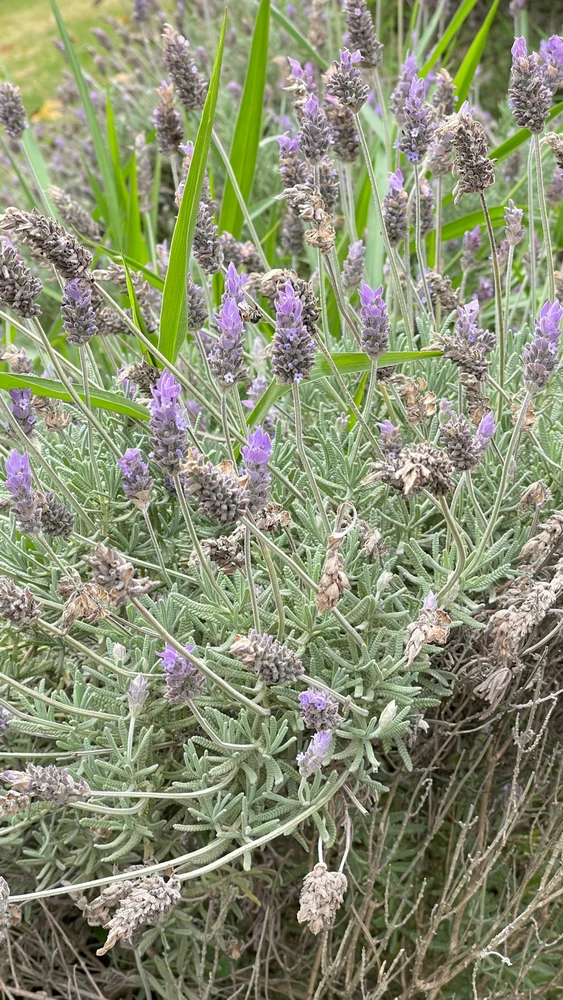 Imagem enviada por Jaqueline