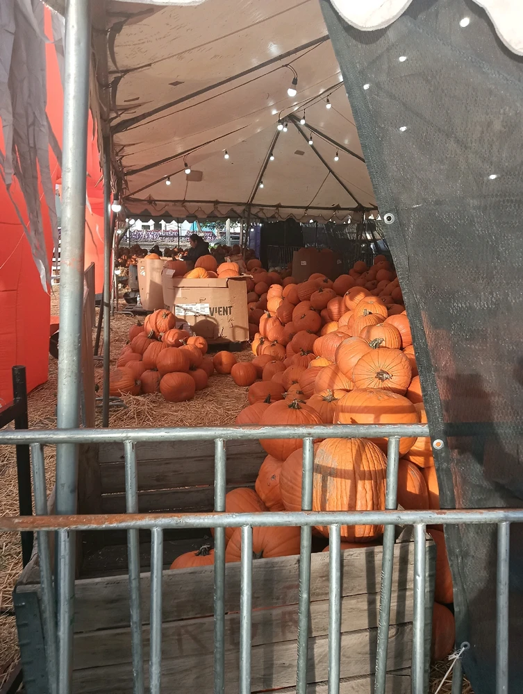 GIF uploaded by Jenny