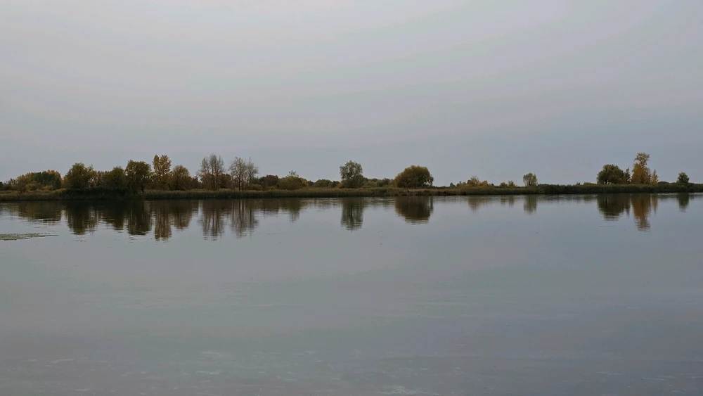 Фото загрузил Софья