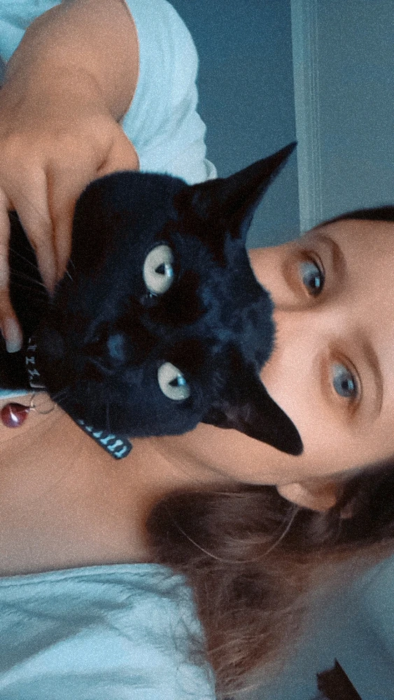 Imagem enviada por Catarina