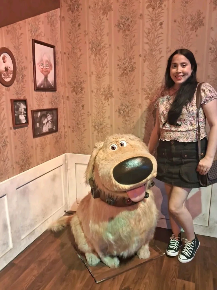 Up! - Altas Aventuras