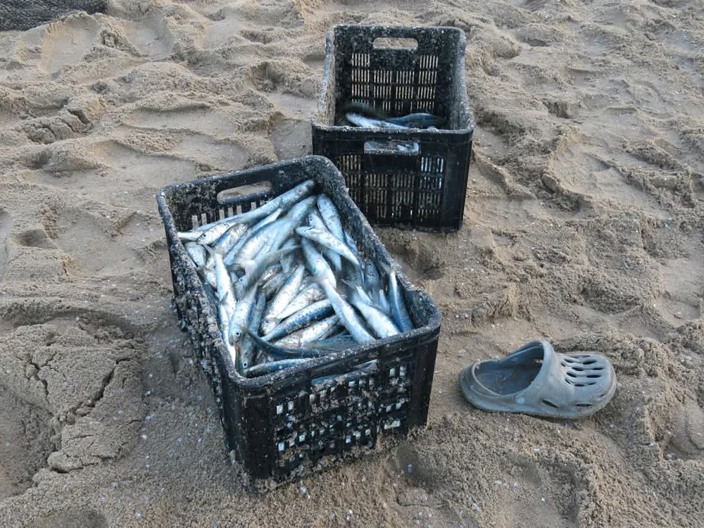 Image uploaded by Christine