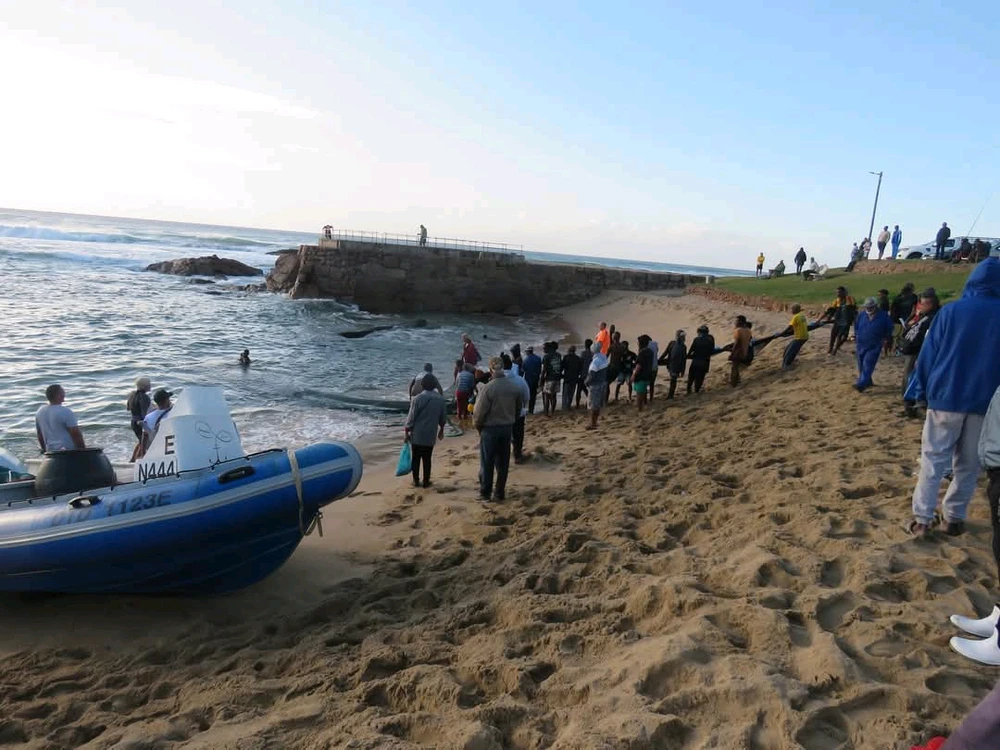 Image uploaded by Christine