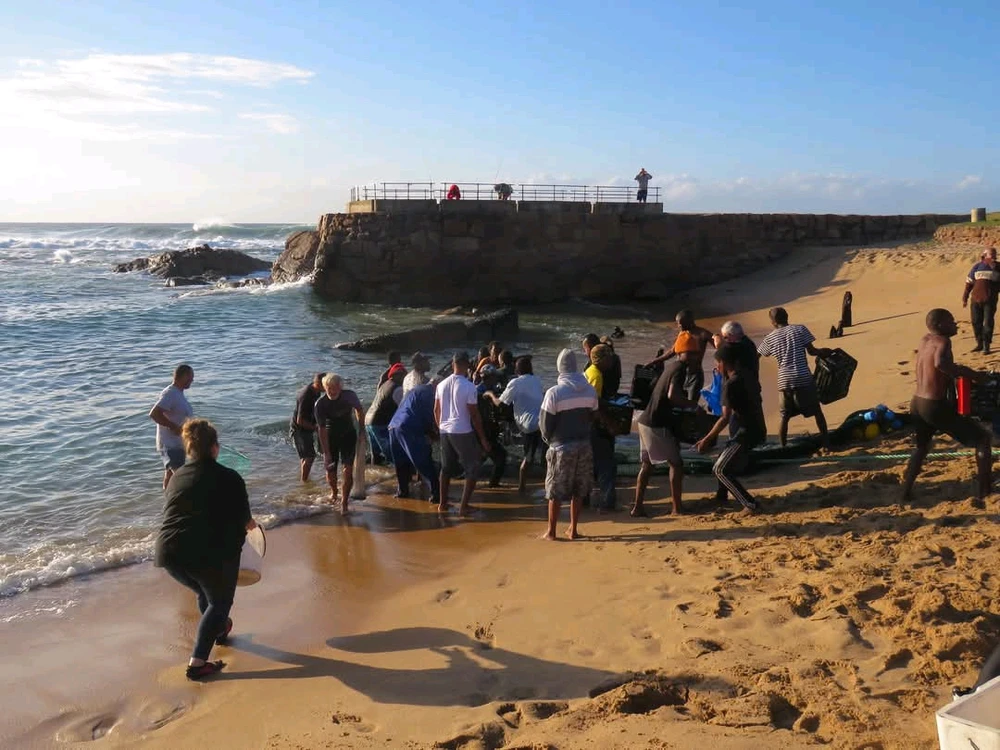 Image uploaded by Christine