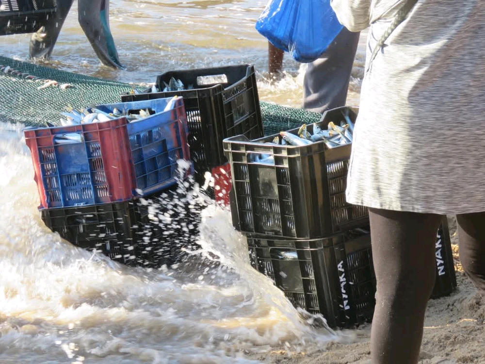 Image uploaded by Christine