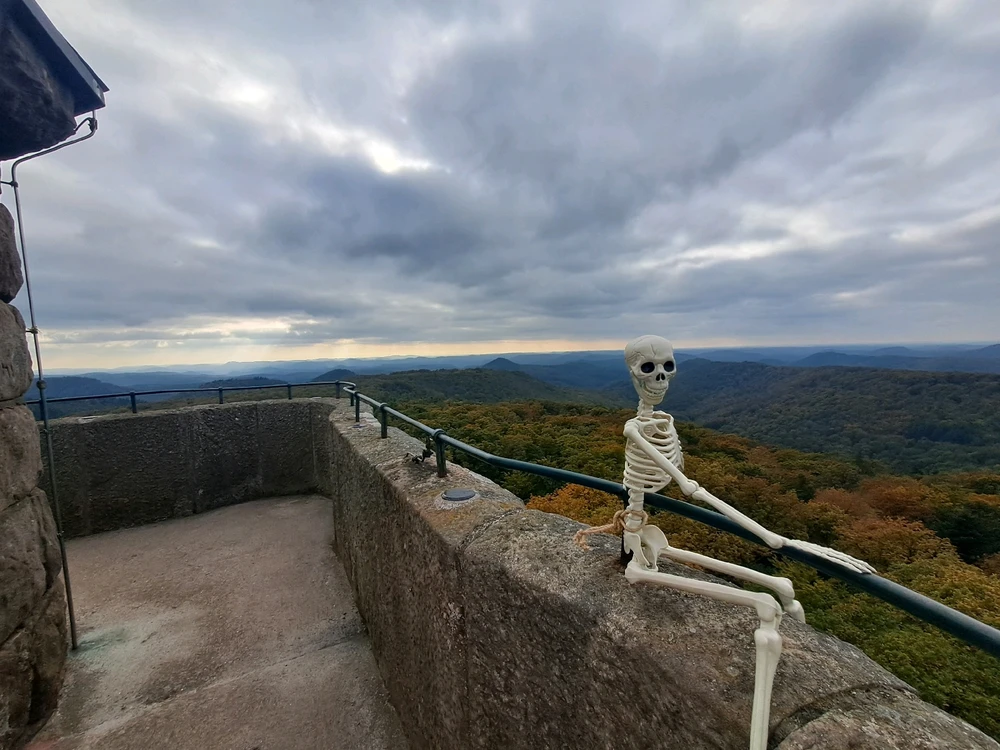 Bruno und ich Teil 13