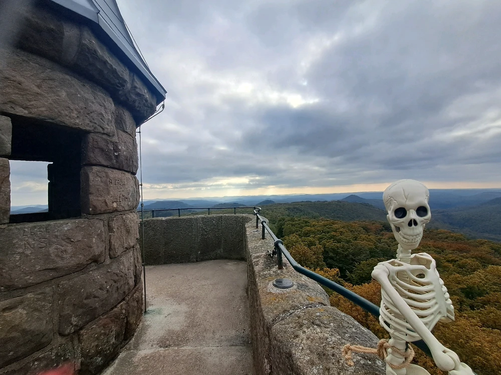 Bruno und ich Teil 13