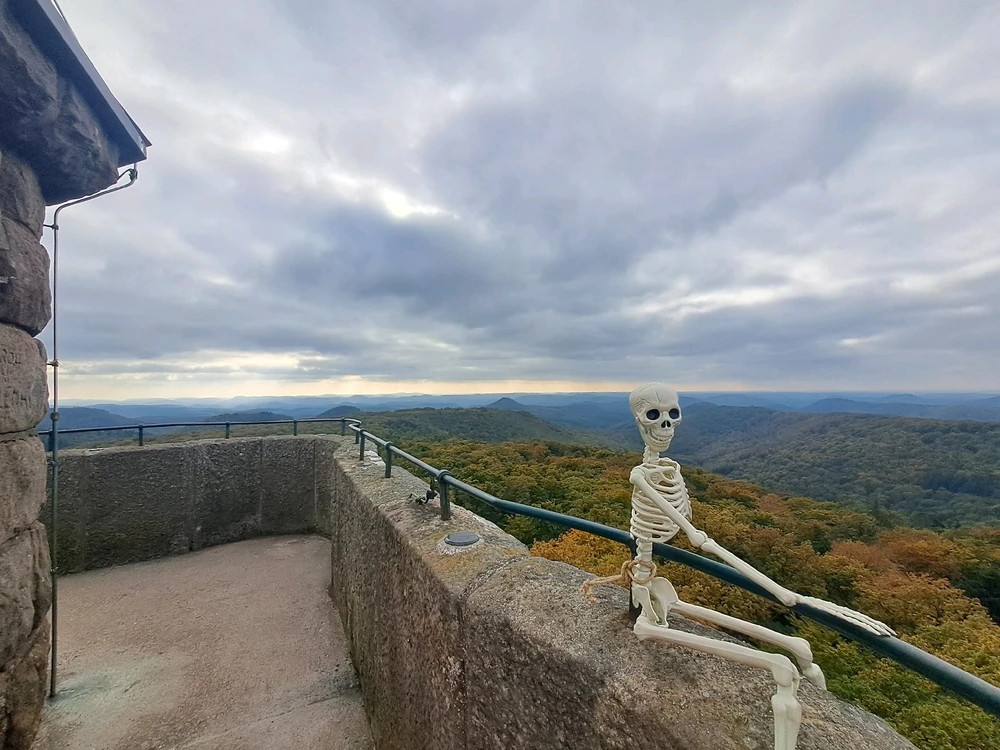 Bruno und ich Teil 13