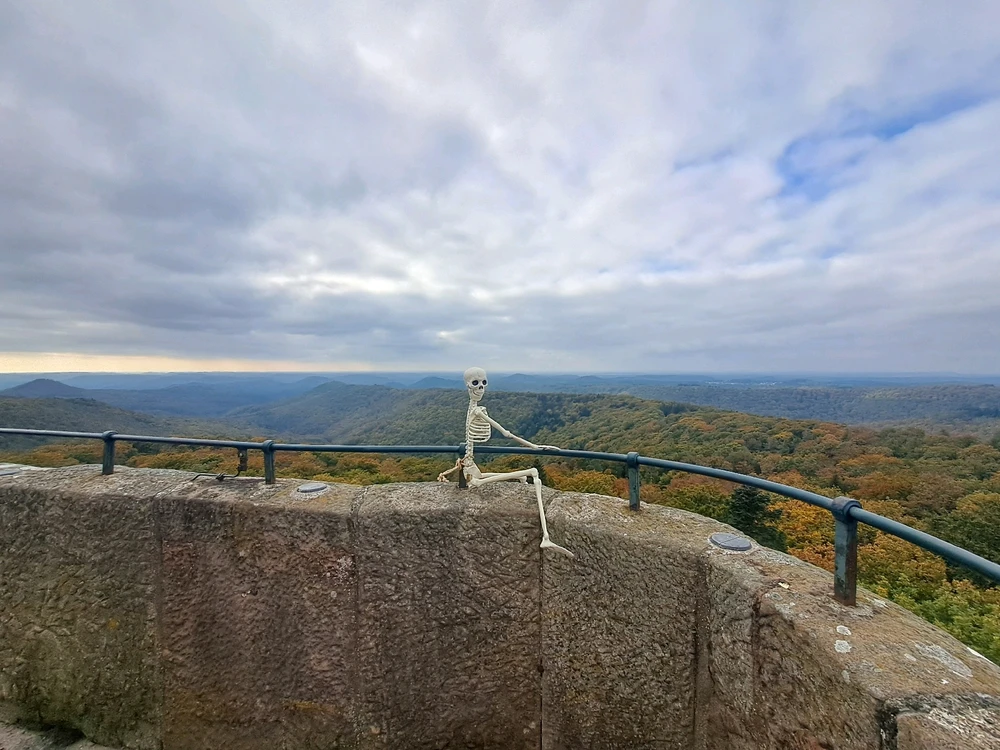 Bruno und ich Teil 13