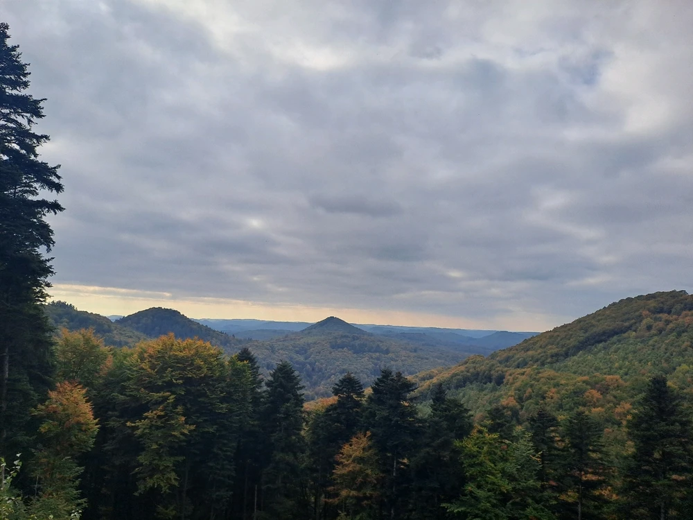 Bruno und ich Teil 13