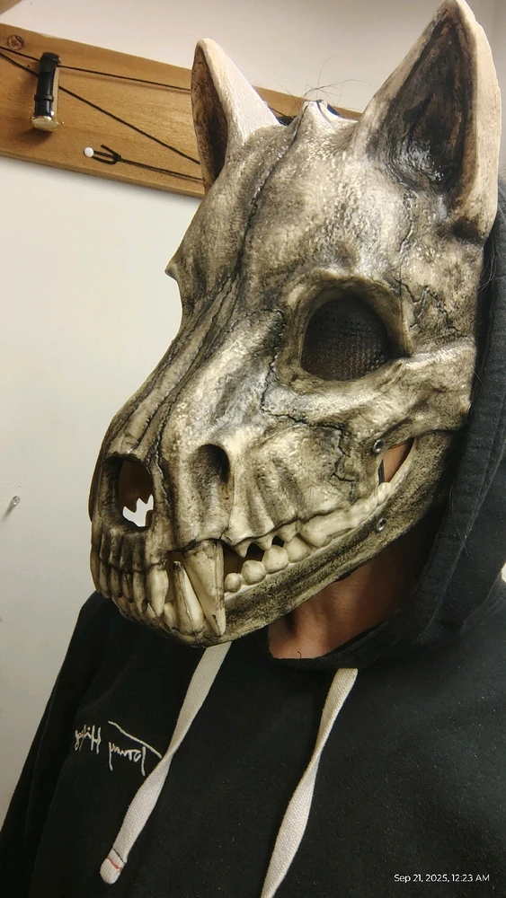 Image uploaded by Koda