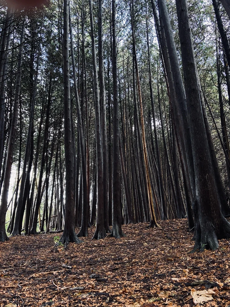 GIF uploaded by Brandon