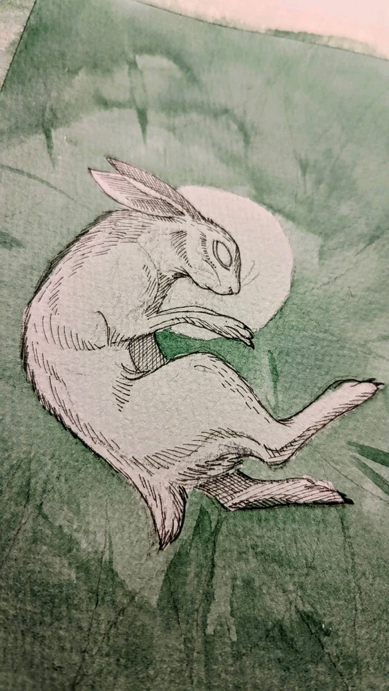 Rabbit