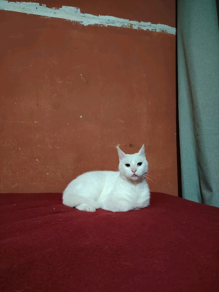 GIF subido por Valentina