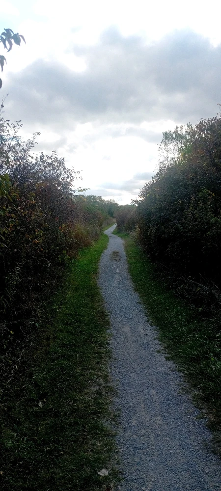 Image uploaded by Nyles