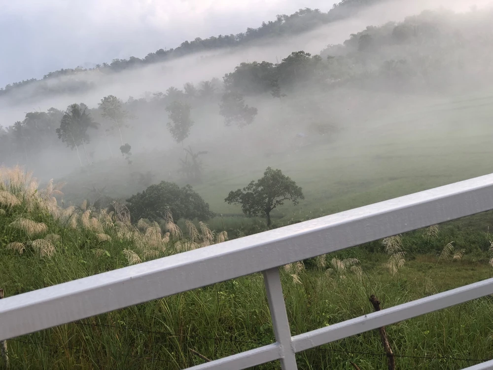 Gambar diunggah dening Michelle