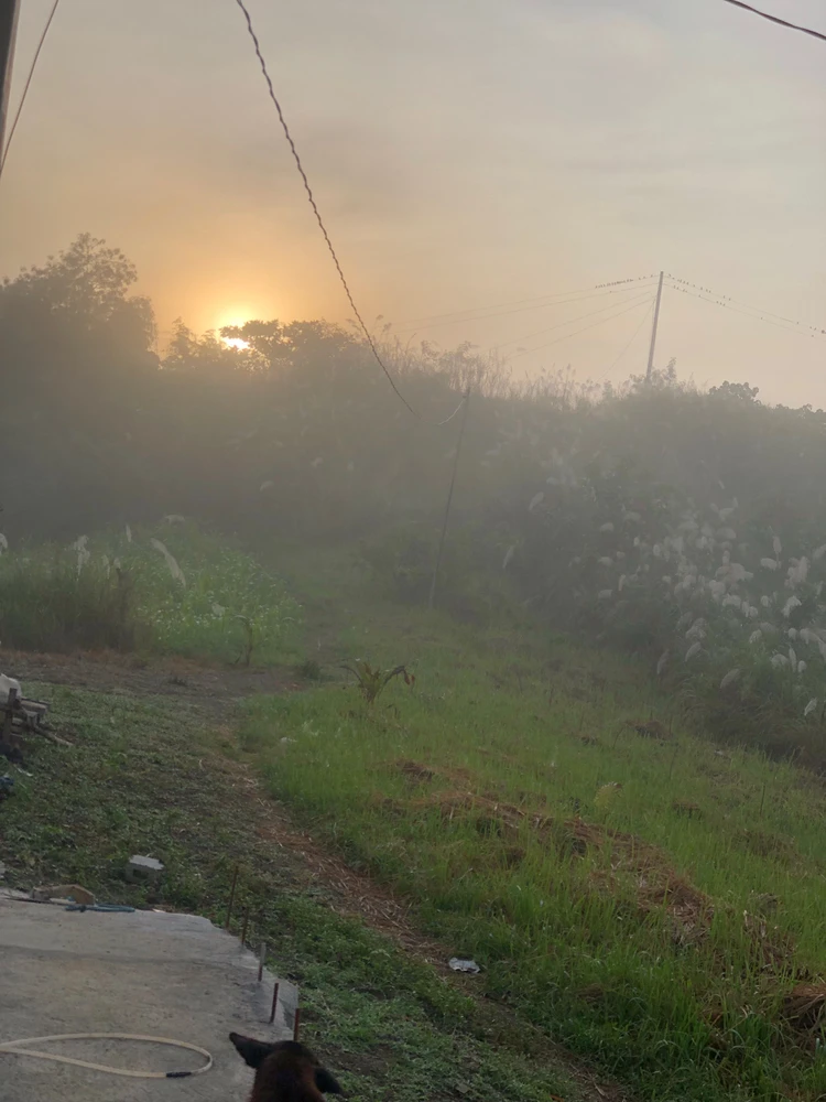 Gambar diunggah dening Michelle