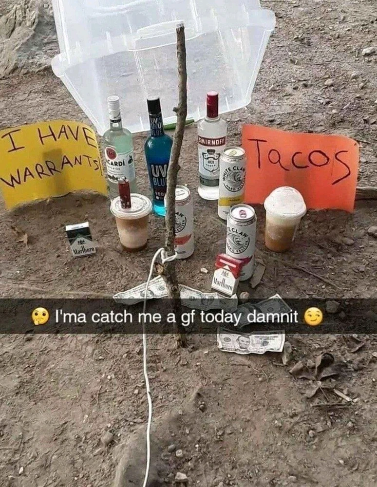 GIF uploaded by Trilby