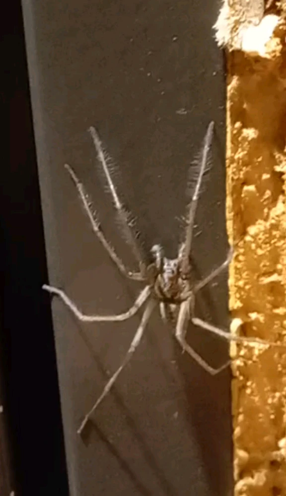 Image uploaded by Valde