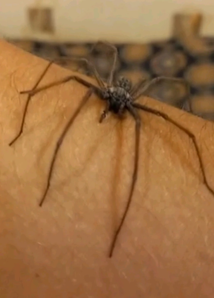 Image uploaded by Valde