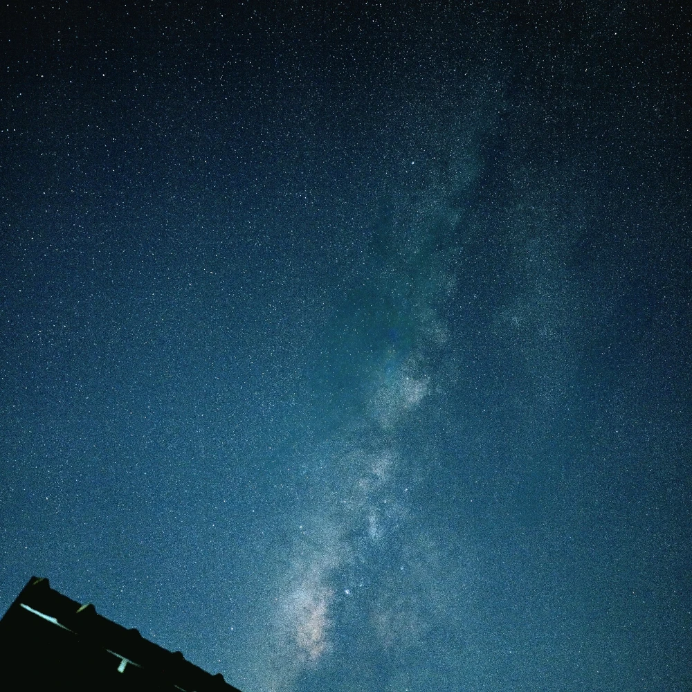 GIF uploaded by Sachs