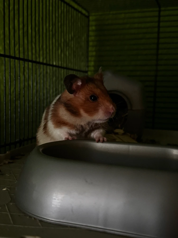 Image uploaded by Jonathan