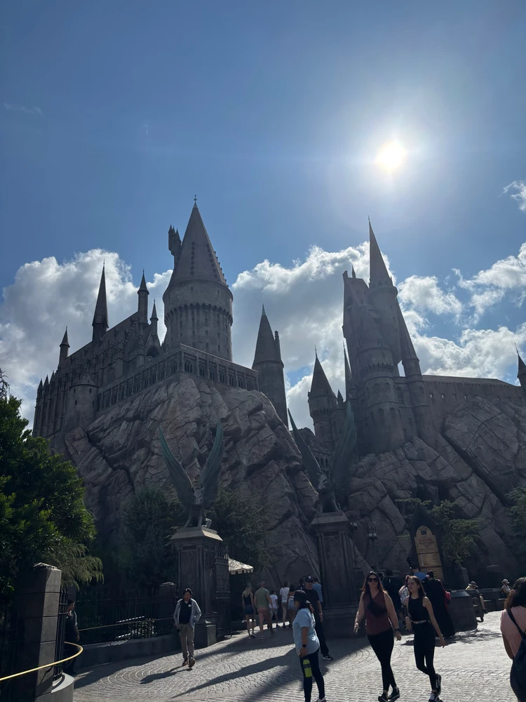 Image uploaded by Nick