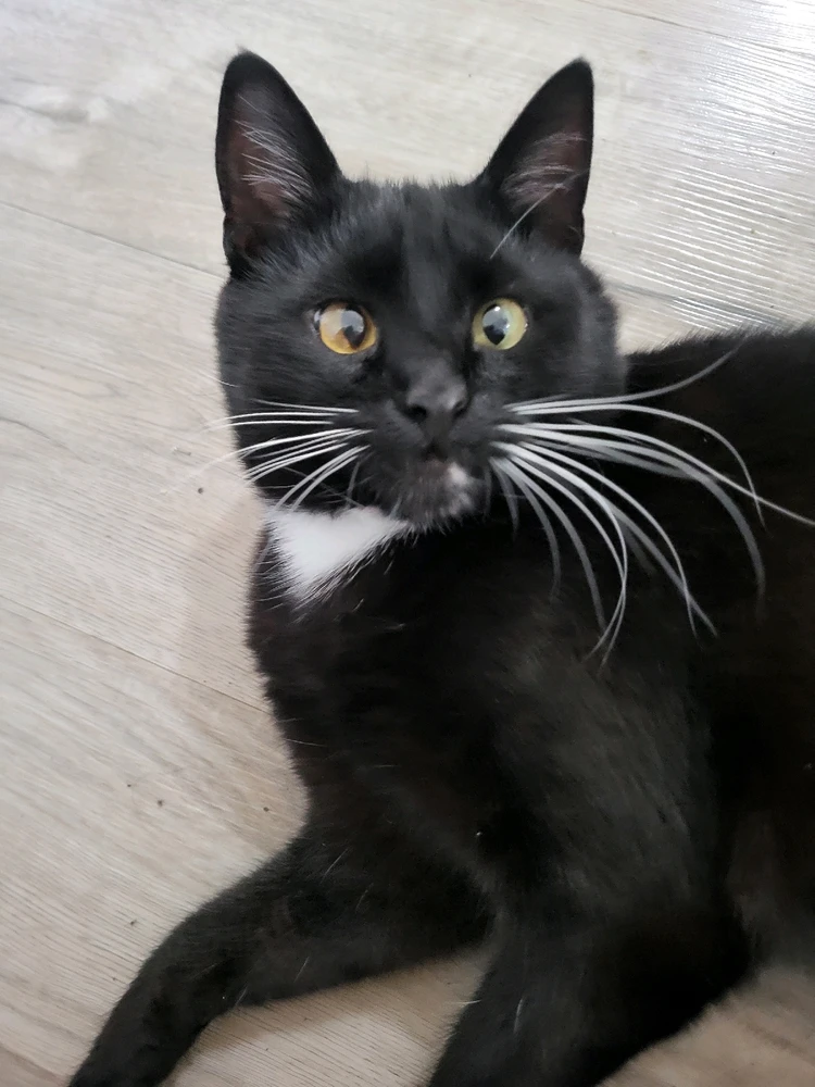 GIF diunggah dening Aster