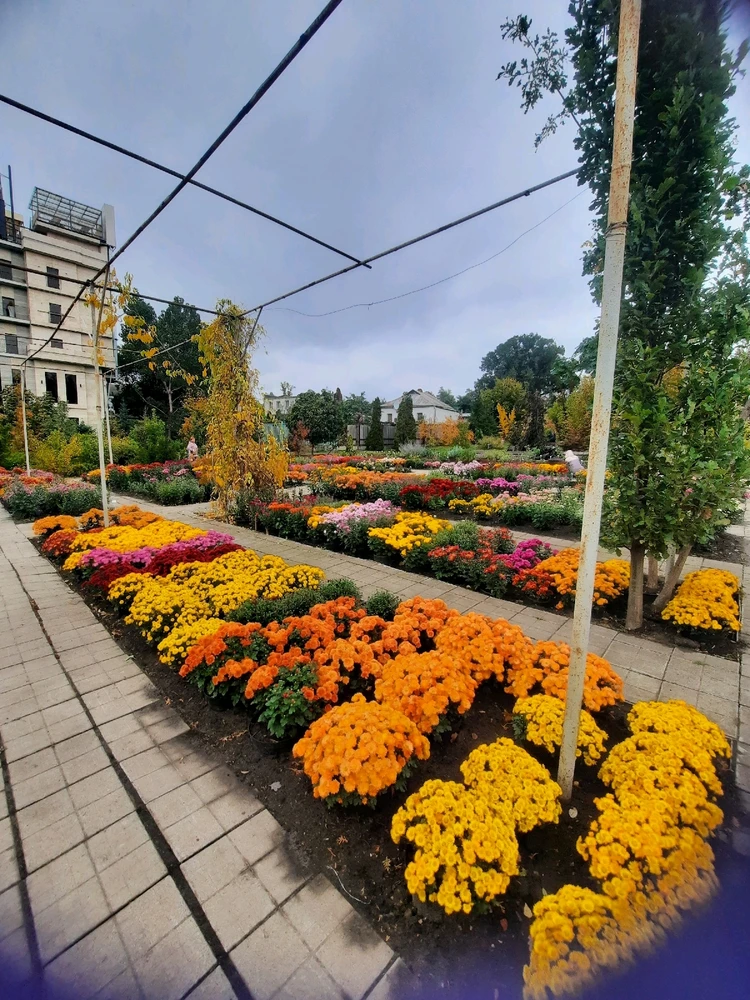 Зображення завантажив Катерина