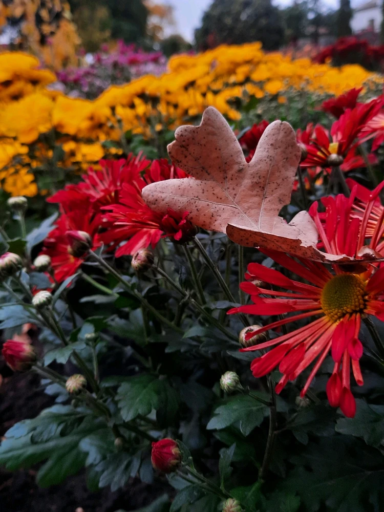 Зображення завантажив Катерина