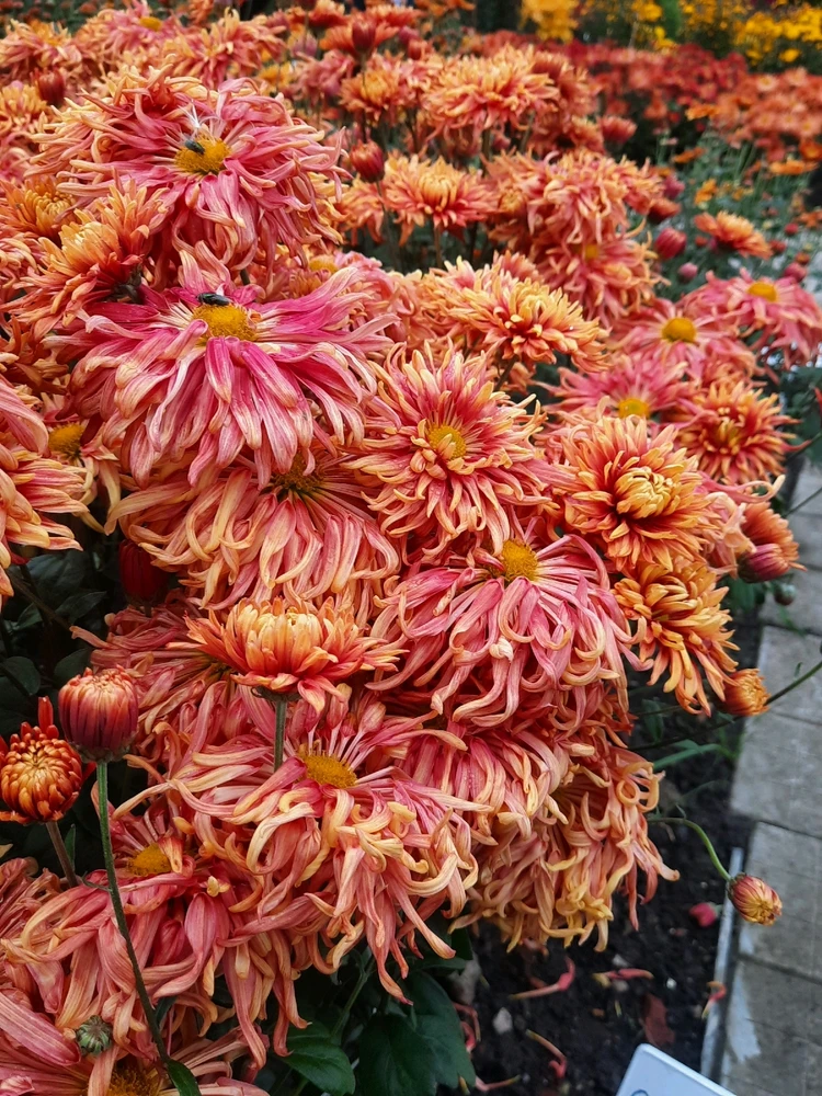 Зображення завантажив Катерина