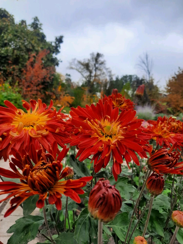 Зображення завантажив Катерина