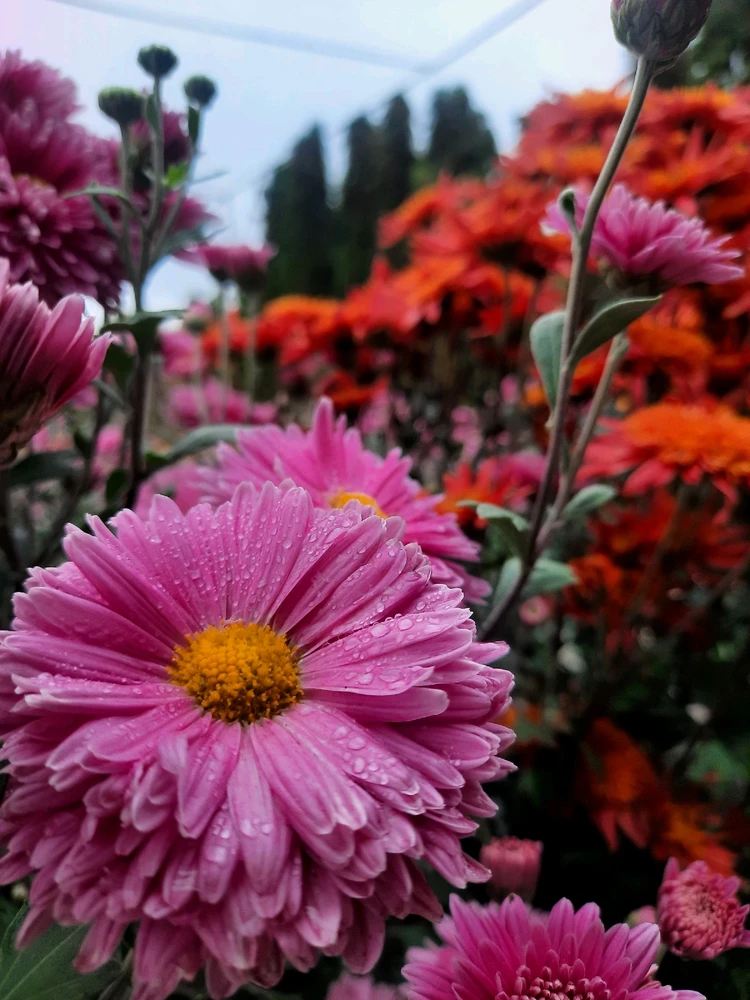 Зображення завантажив Катерина