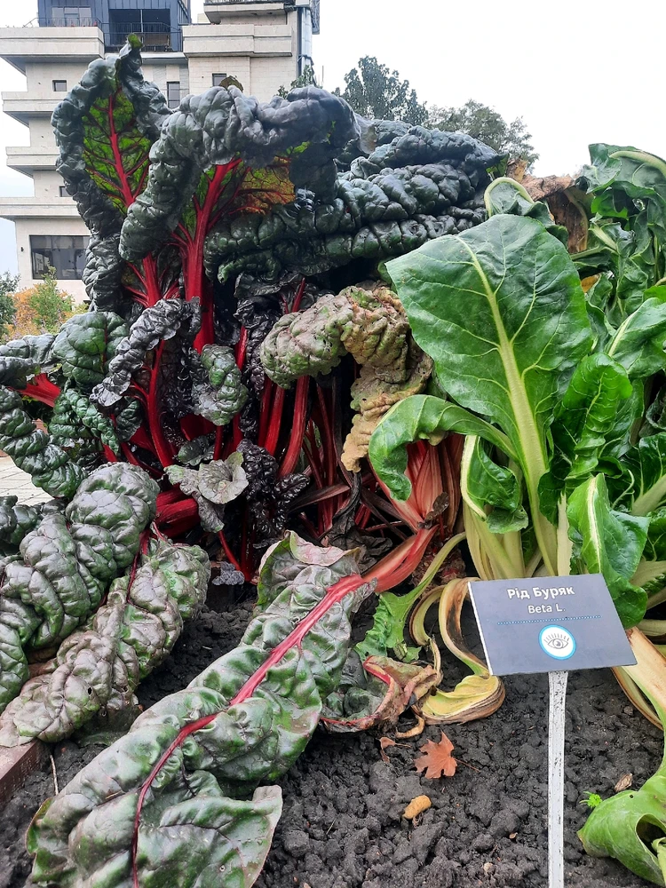 Зображення завантажив Катерина