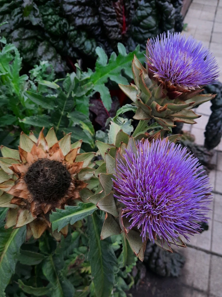 Зображення завантажив Катерина