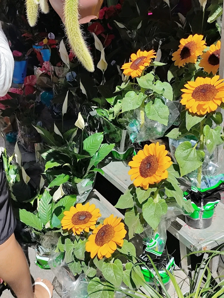 GIF uploaded by Tonny