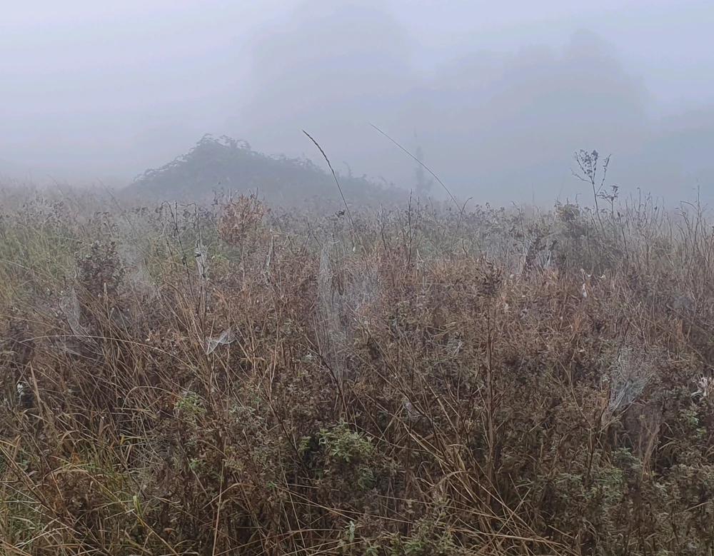 GIF uploaded by Nikki