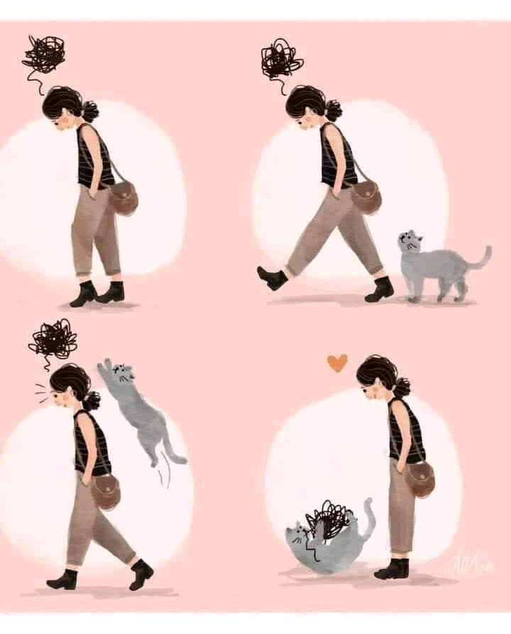 GIF ajouté par Ꭻລԁ𝙚