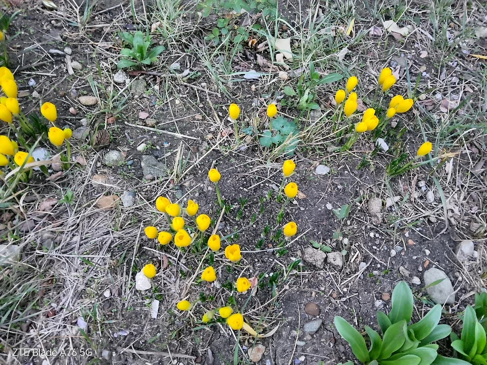 Качено от Geri