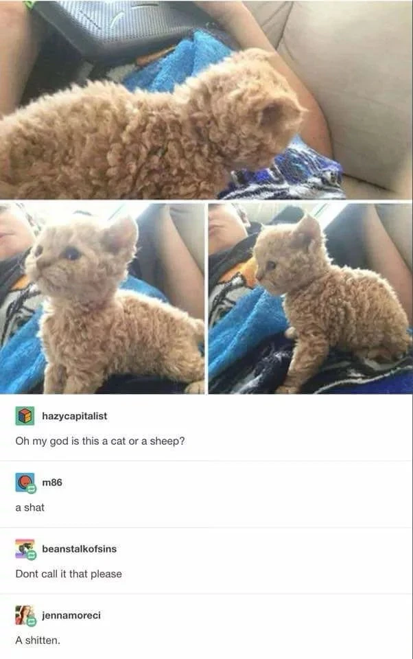 GIF dodany przez A