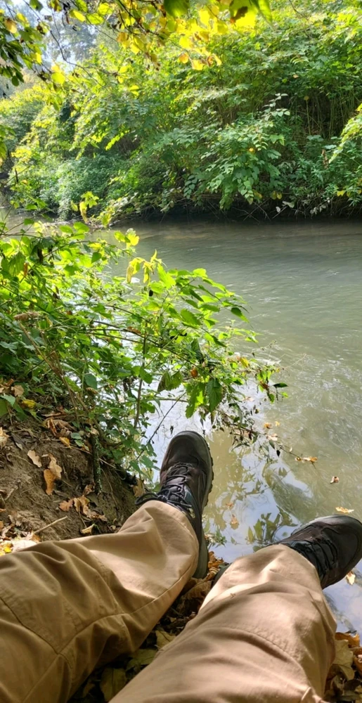 Afbeelding geüpload door Brain