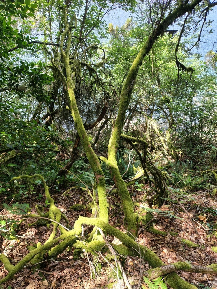 Image uploaded by Teresa